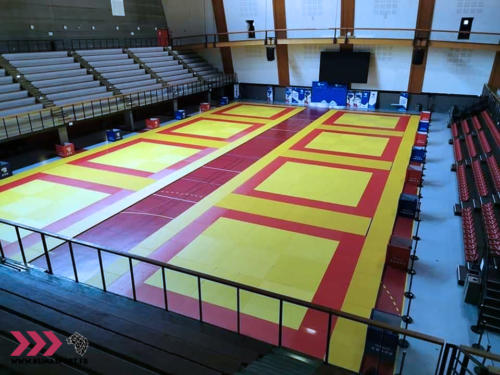 Open International Karaté Full Contact Light Contact